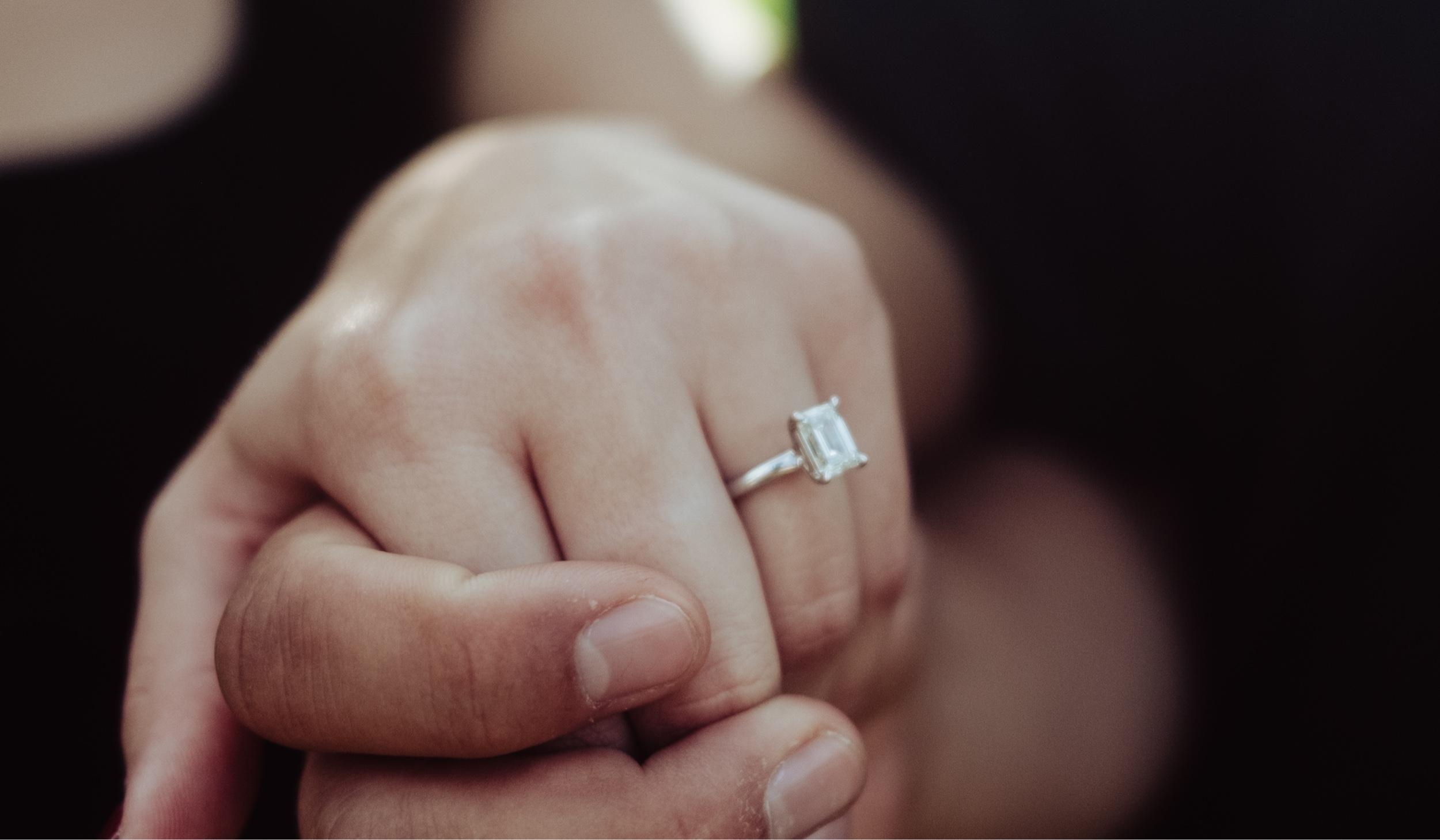 The Wedding Website of Reuben Bortnik and Ariana Boyko