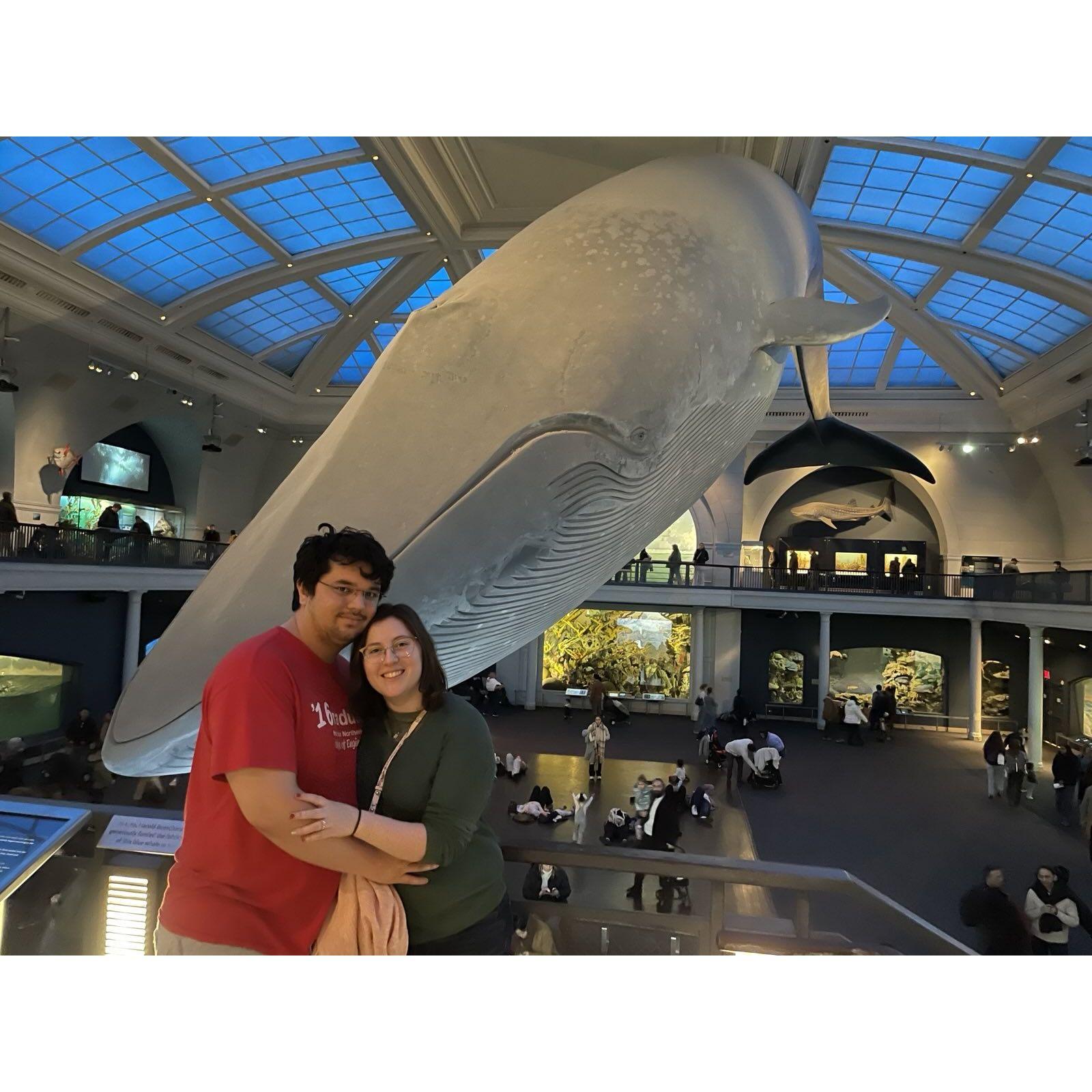 The blue whale celebrating our engagement with us