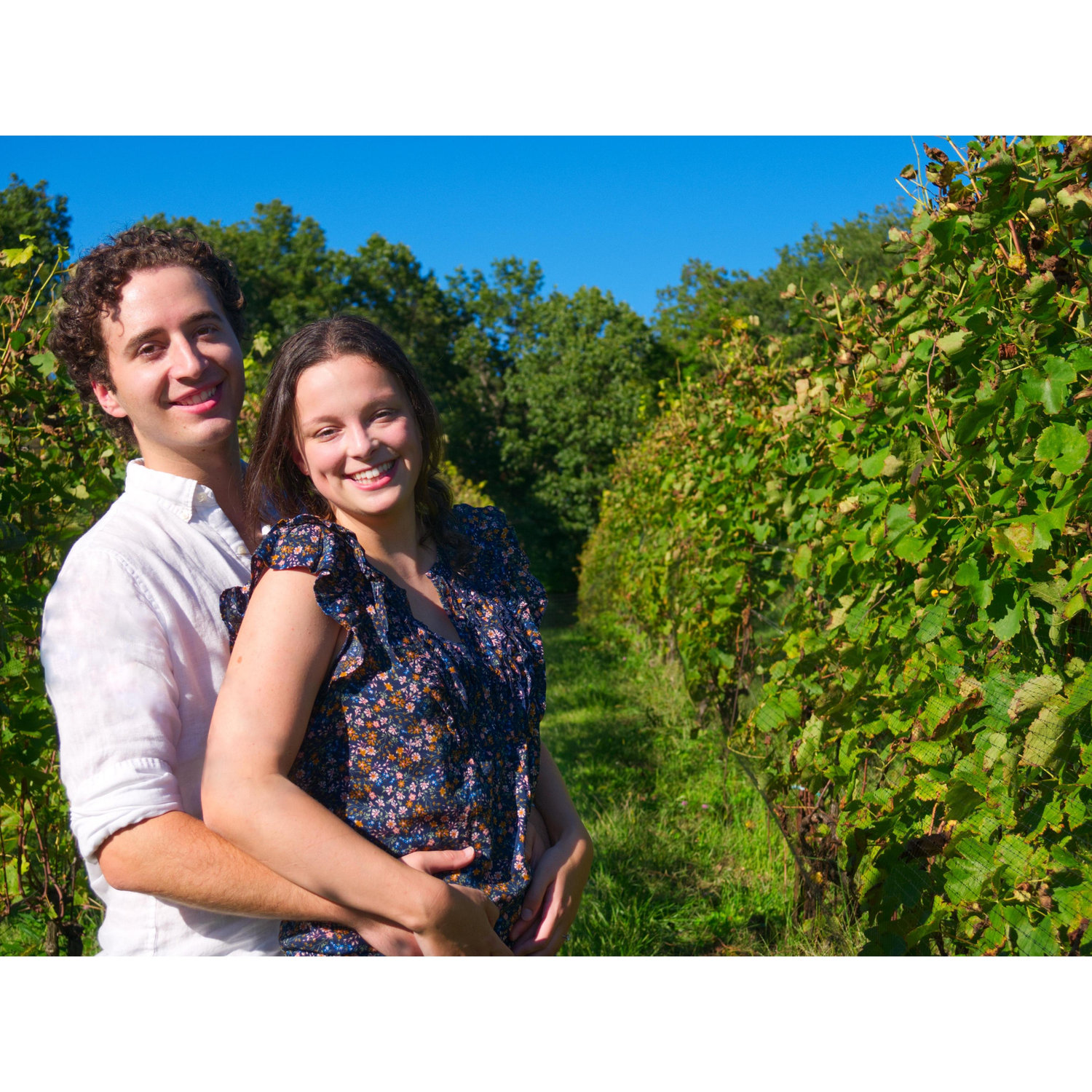 Black Ankle Vineyards