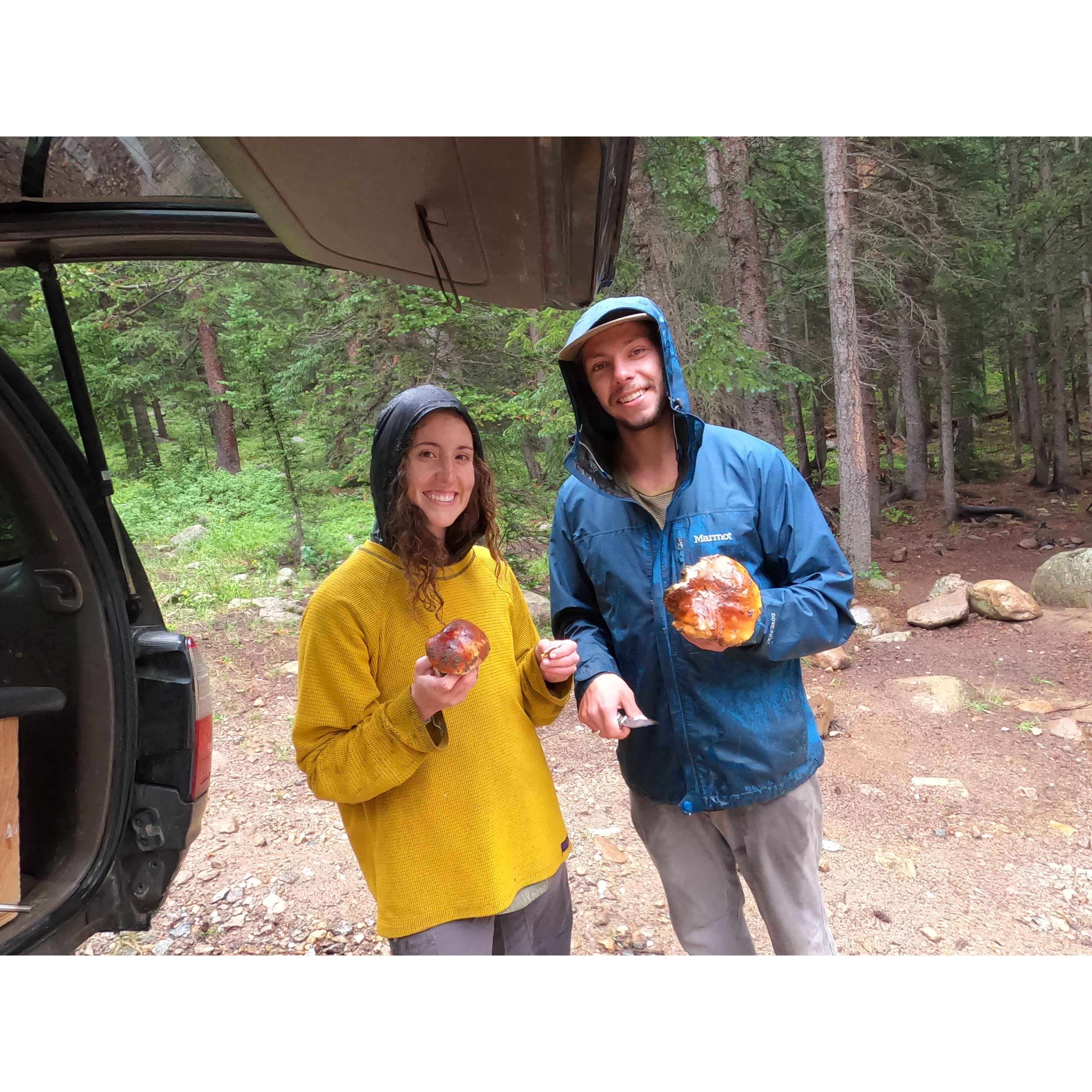 Mushroom foraging 2022