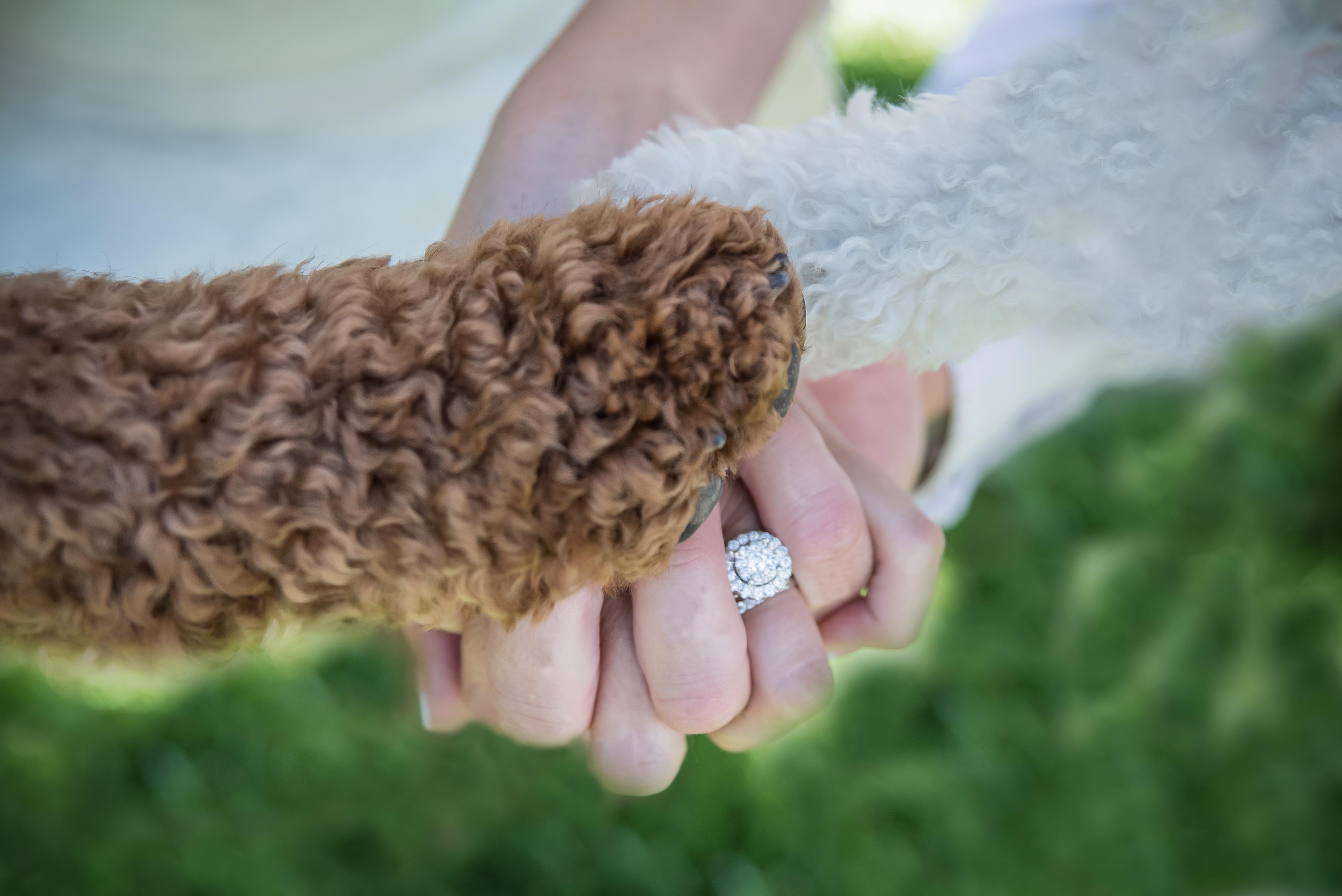 The Wedding Website of Patricia Creager and Randy Becker
