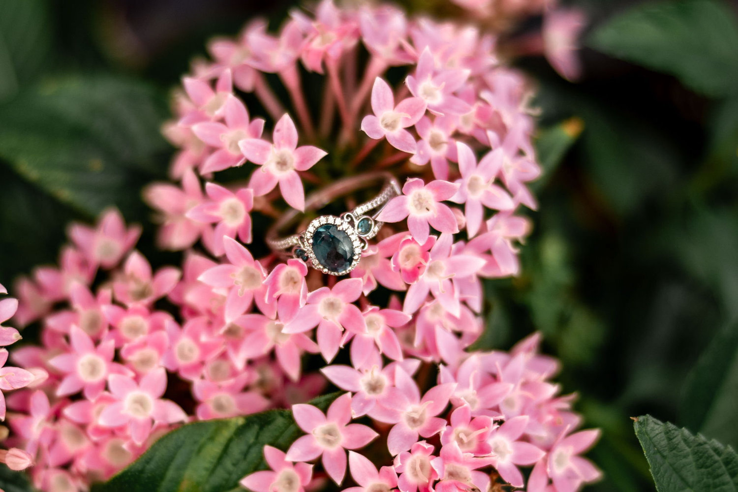 The Wedding Website of Kourtney Pruitt and Jason Foster