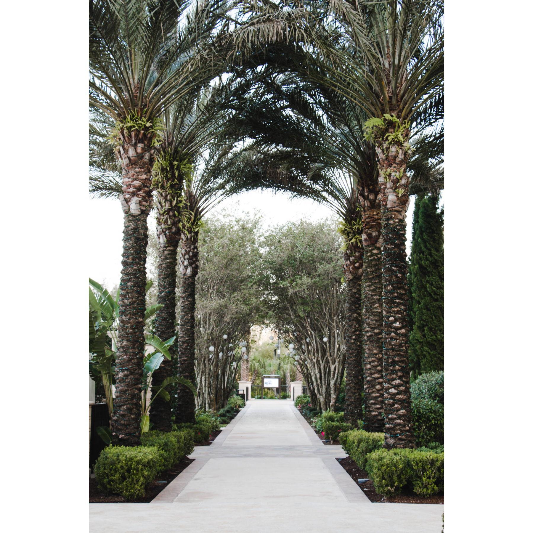 Four Seasons Resort