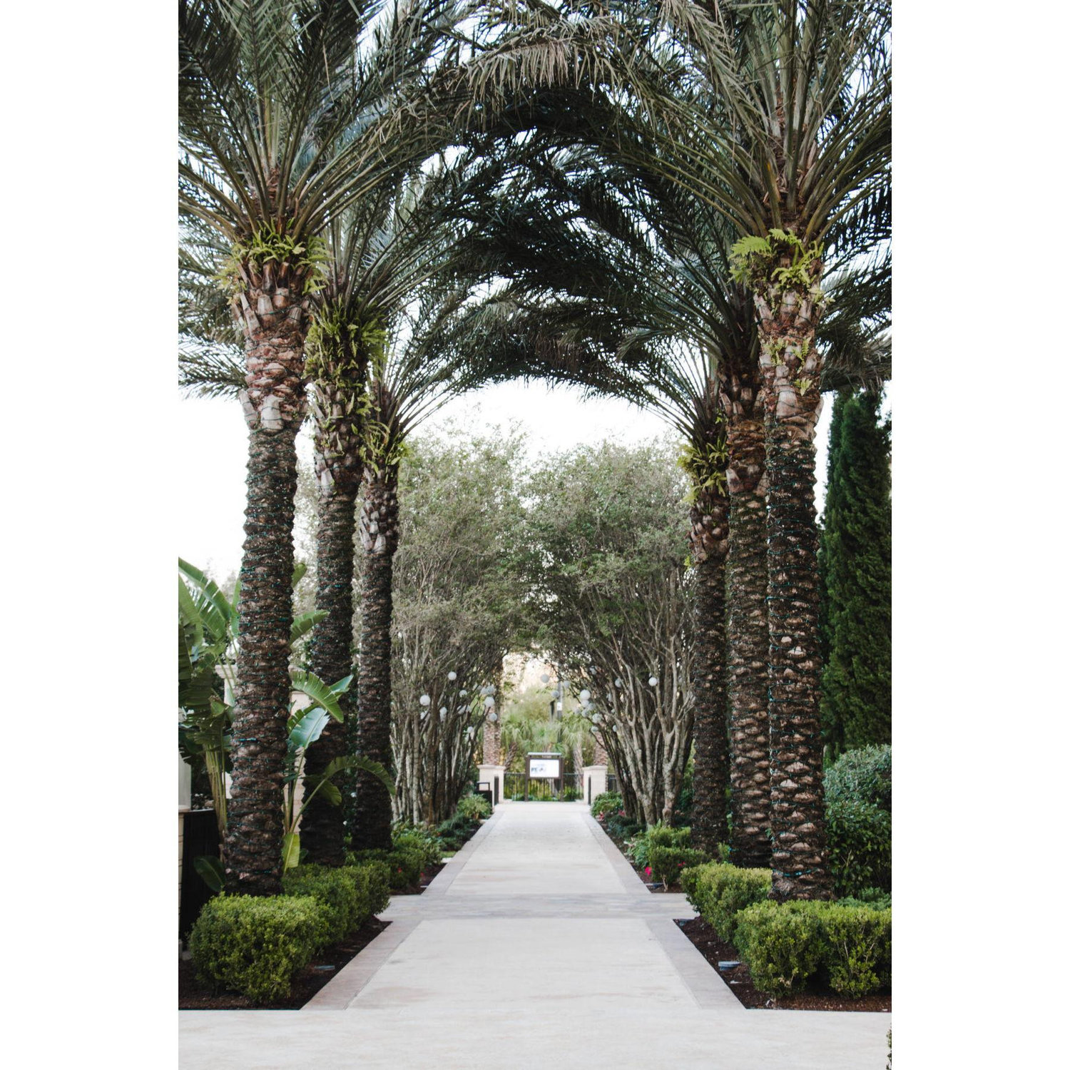 Four Seasons Resort