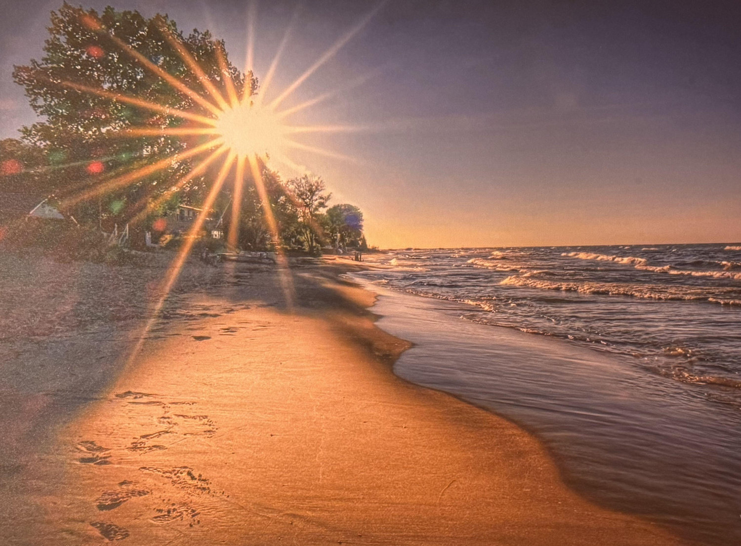 The Wedding Website of Mary Louise Dominick and Larry Alvarado Jr.