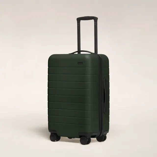 The Carry-On - Green