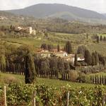 Travignoli Winery