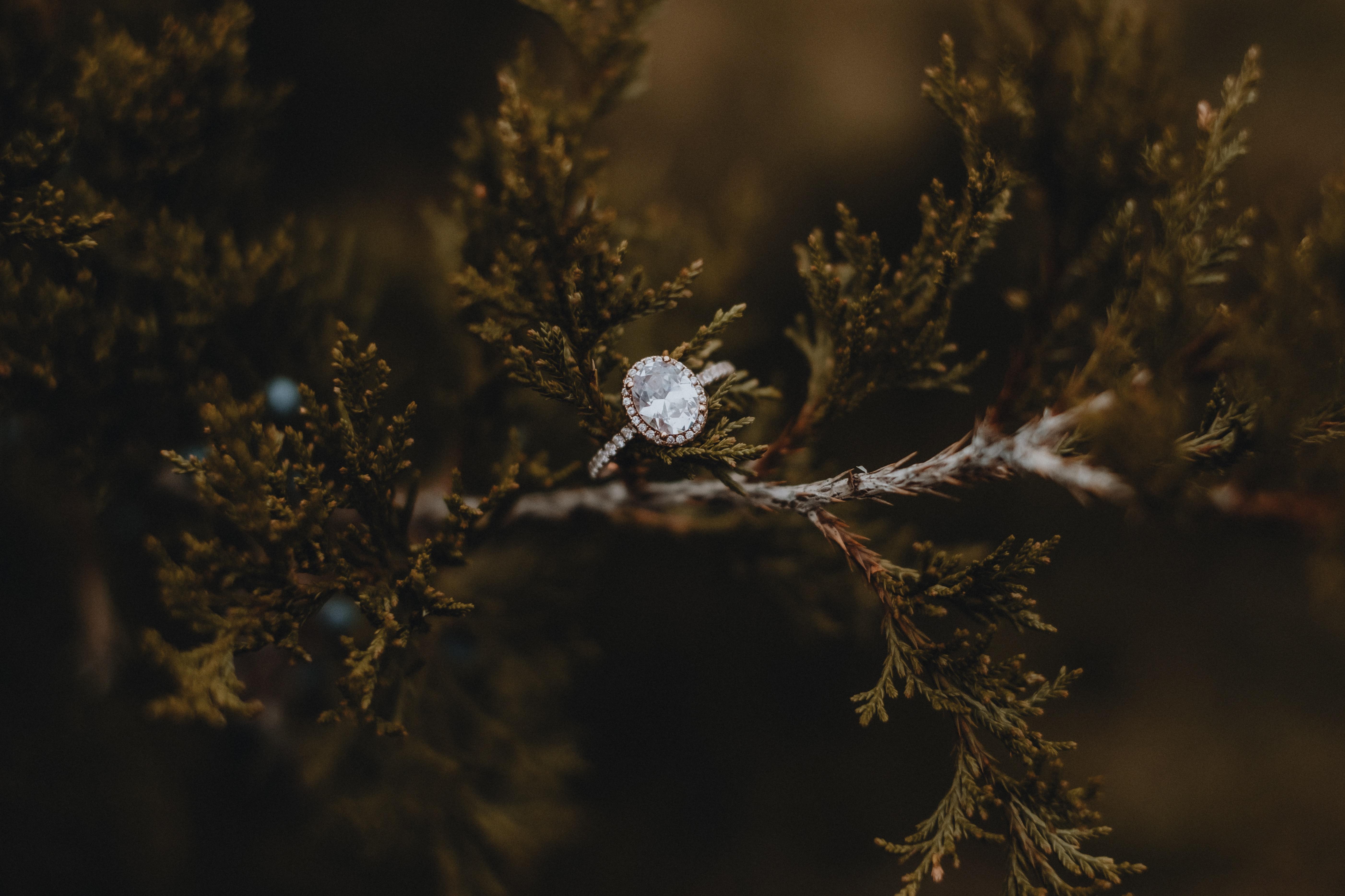 The Wedding Website of Payton Stroud and Justin Newton