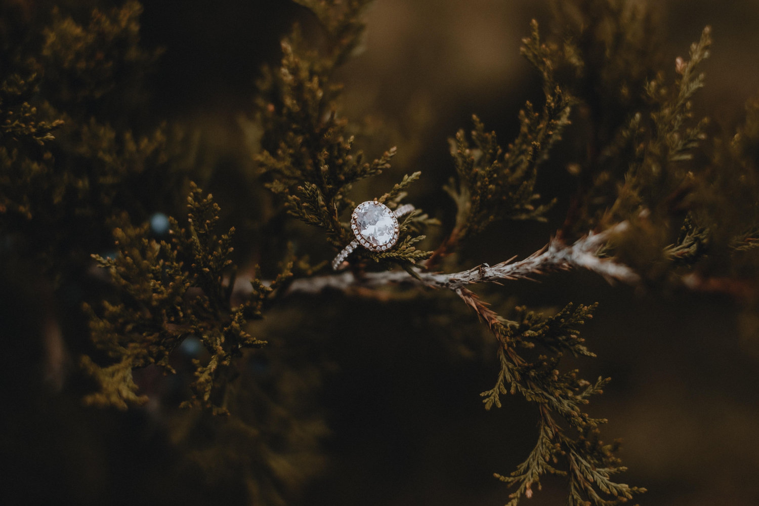 The Wedding Website of Payton Stroud and Justin Newton