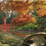 Brooklyn Botanic Garden