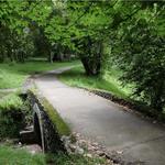 Parque de Cristina Enea (for the Naturist)