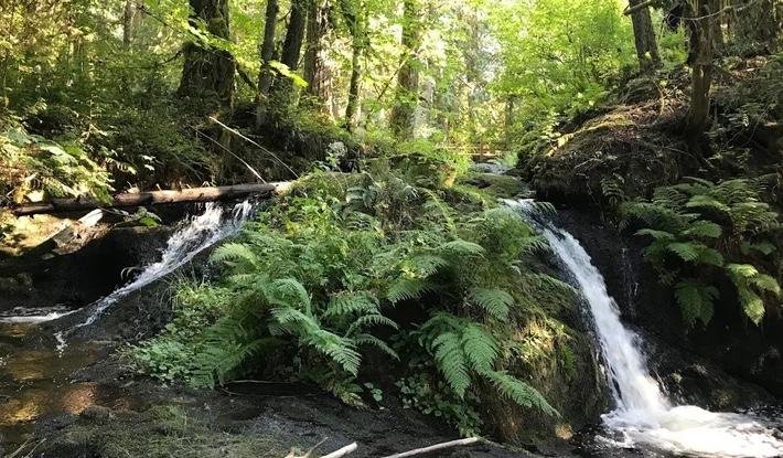 The Wedding Website of Natalie Fox and Luca Crabtree