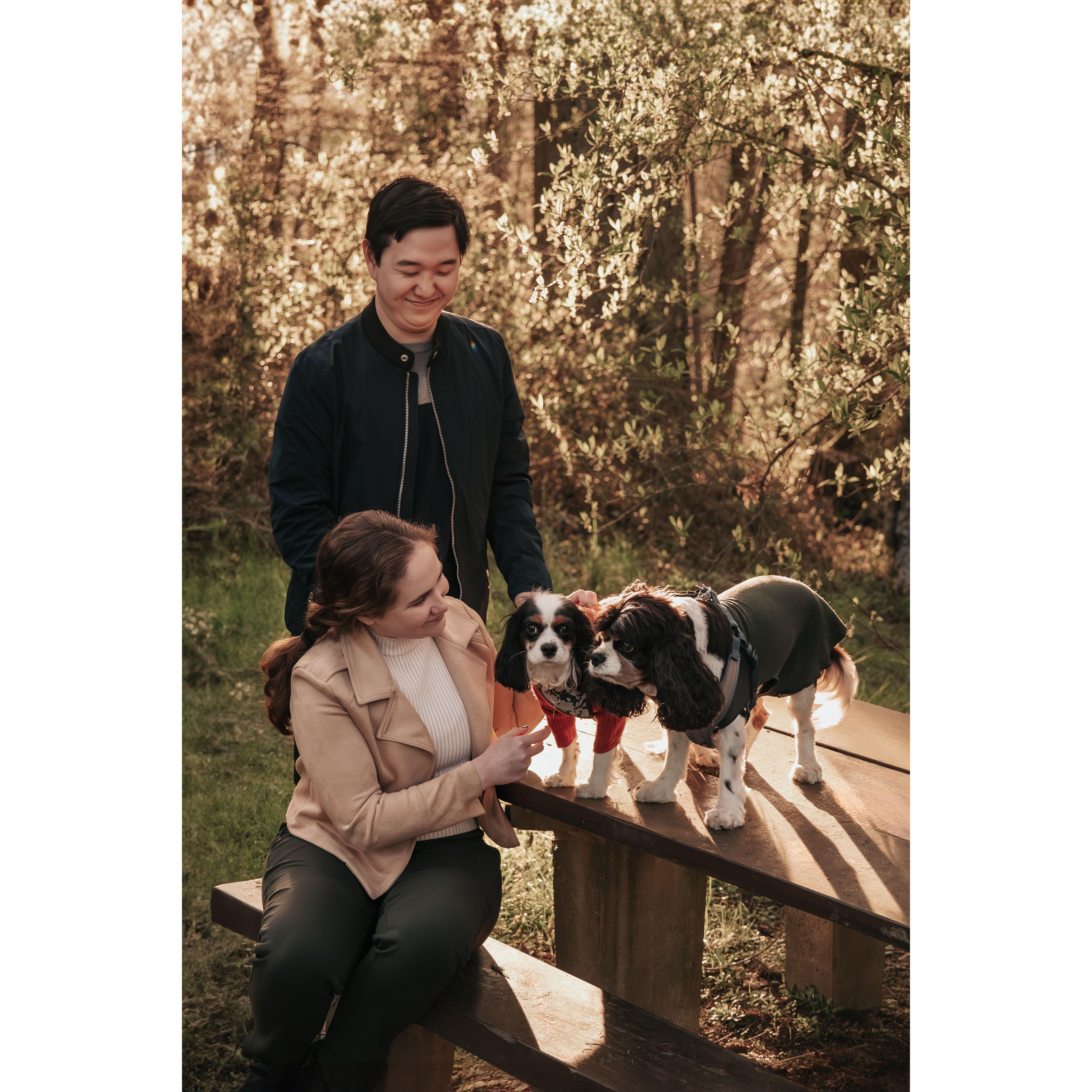 Engagement photos