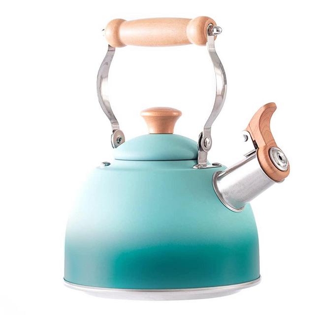 RockUrWok Whistling Tea Kettle 1.6 Quart, Small Teapot for Stove top, Gradient Teal