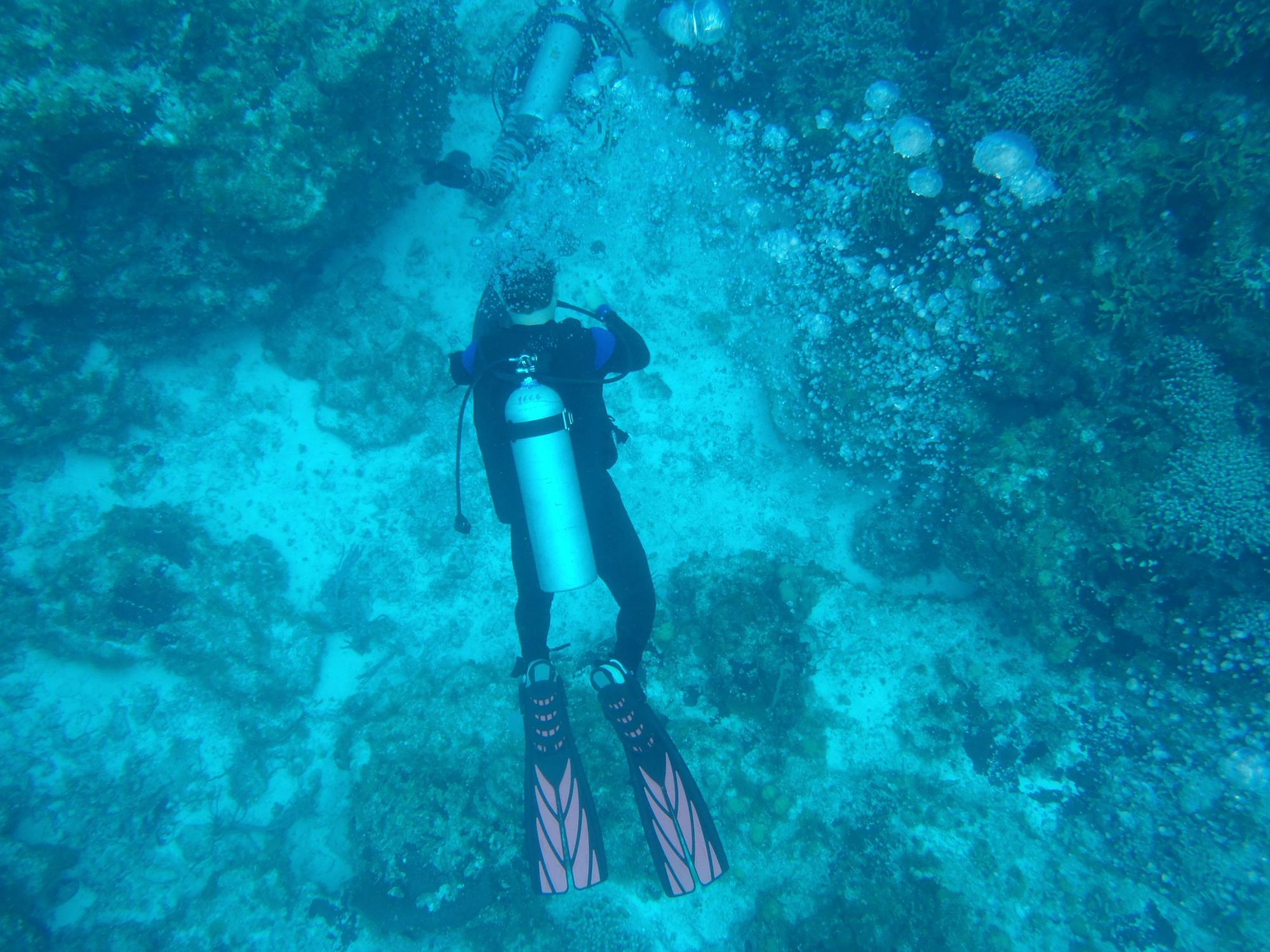 Dustin Scuba Diving in Cozumel