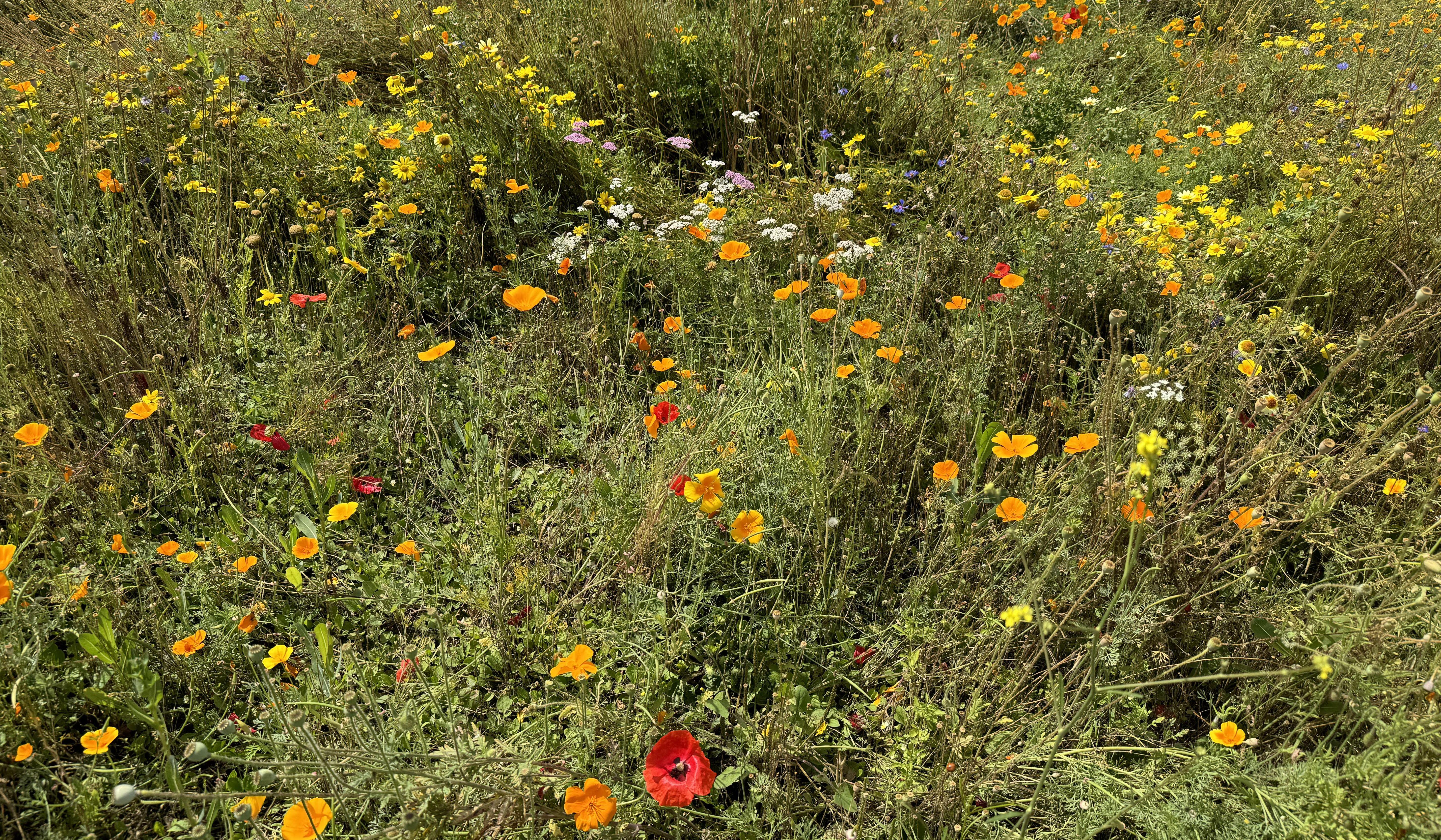 Hero Slideshow Image 2