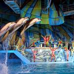 SeaWorld San Antonio