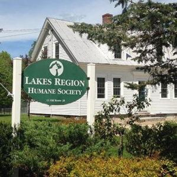 Lakes Region Humane Society