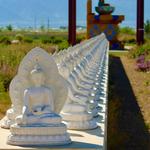 Garden of One Thousand Buddhas