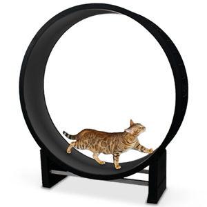 Cat Wheel