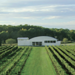 Saltwater Farm Vineyard