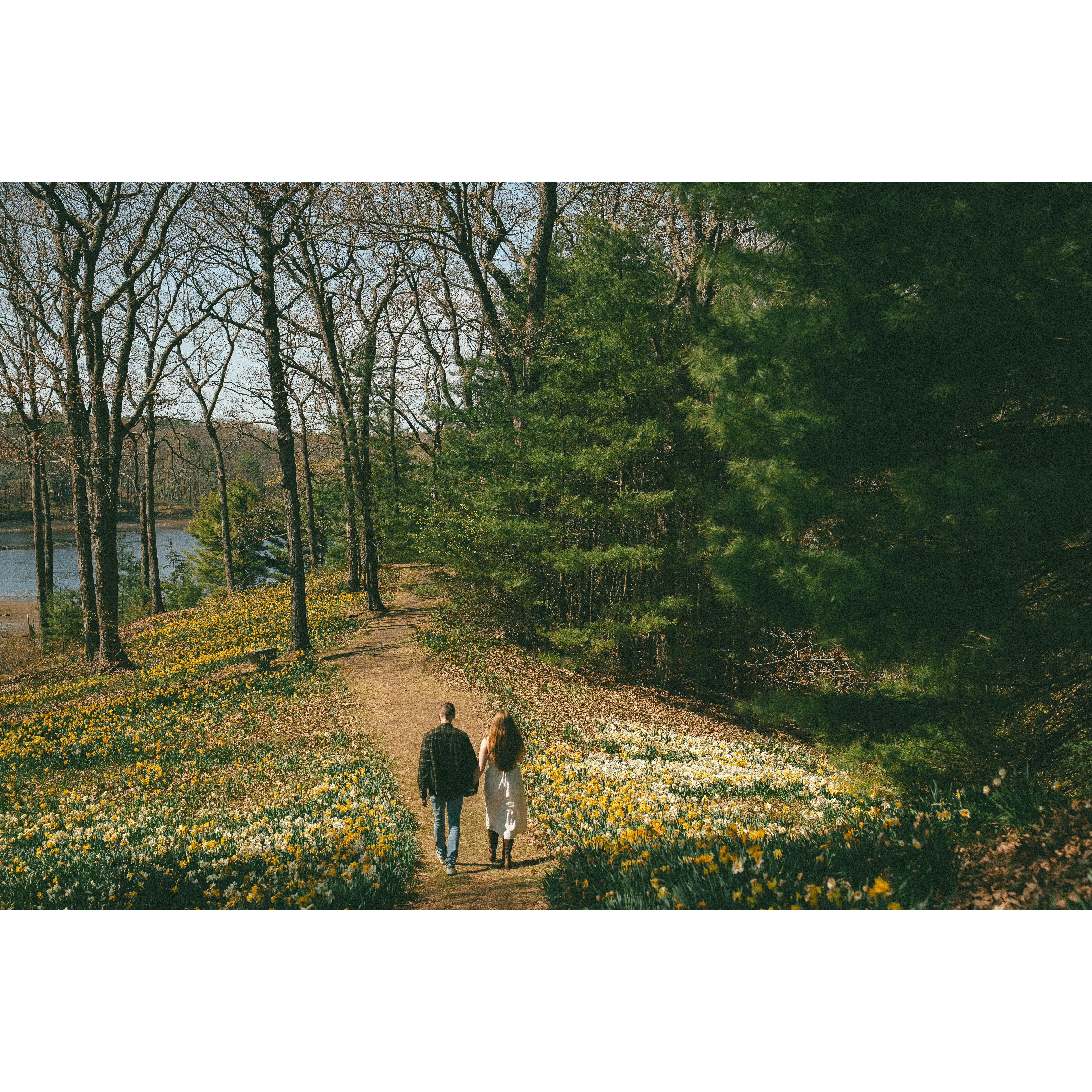 Engagement photos 2025
