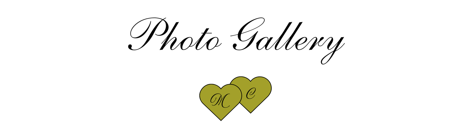 The Wedding Website of Calleigh Wile and Michael Lepage