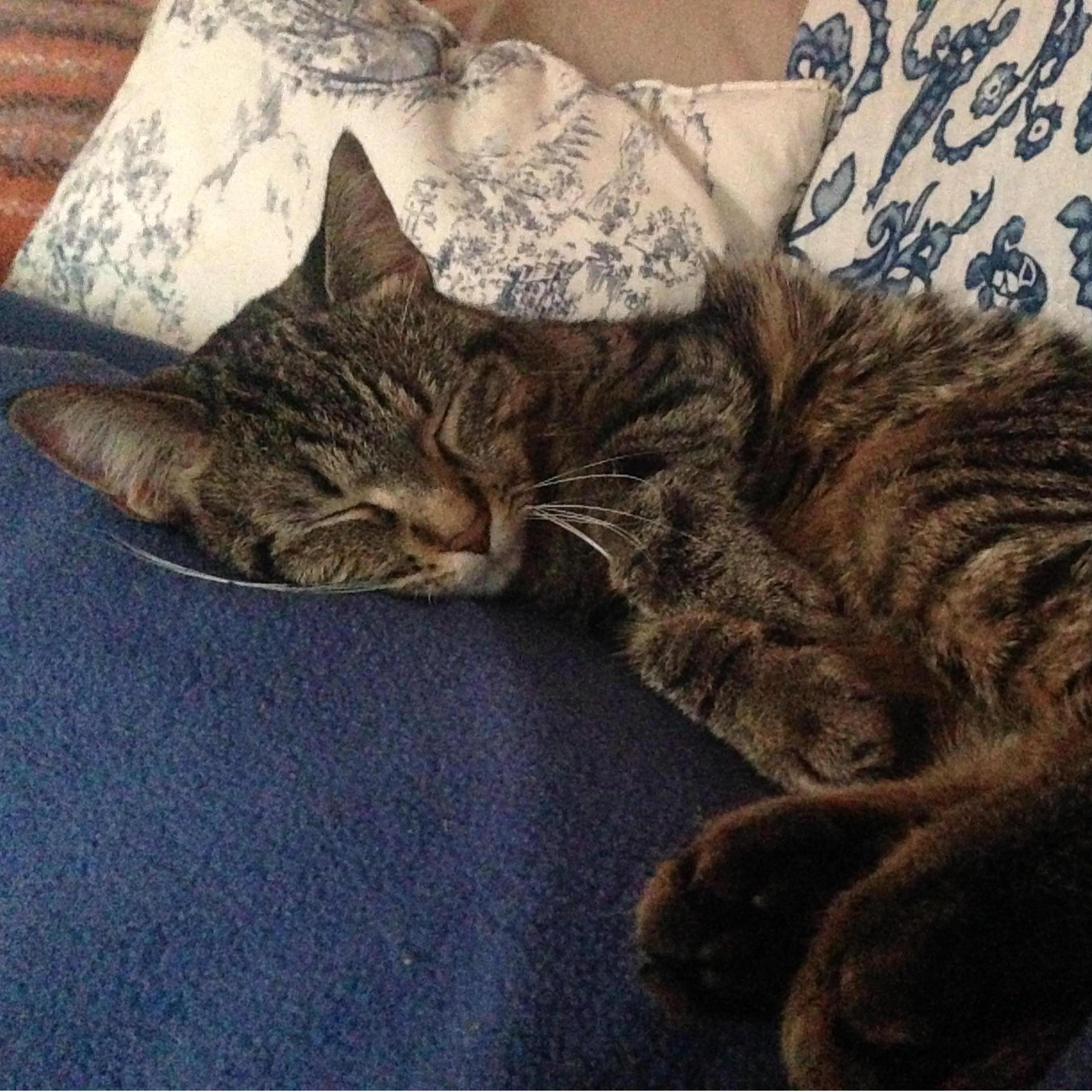 Topham in her natural habitat.