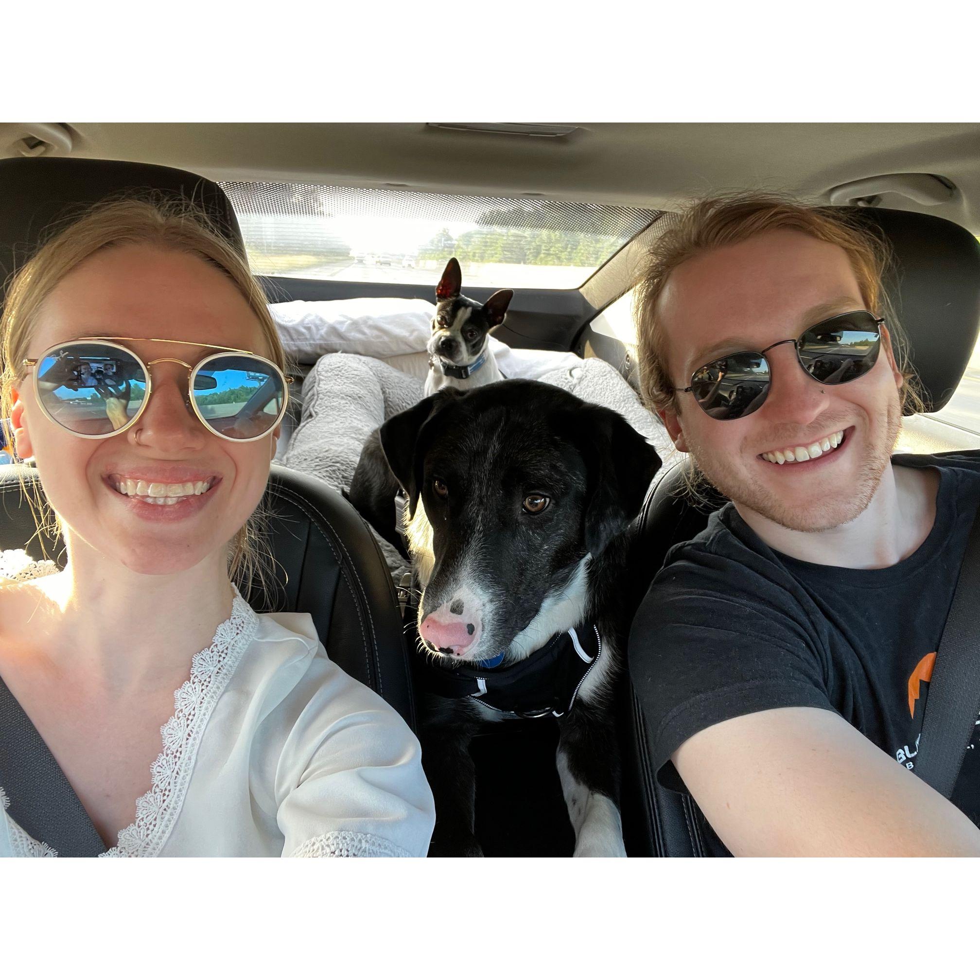 Lots of road trips with the dogs! (Marvin and Lucy)