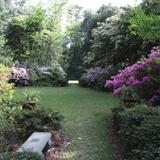 Kalmia Gardens