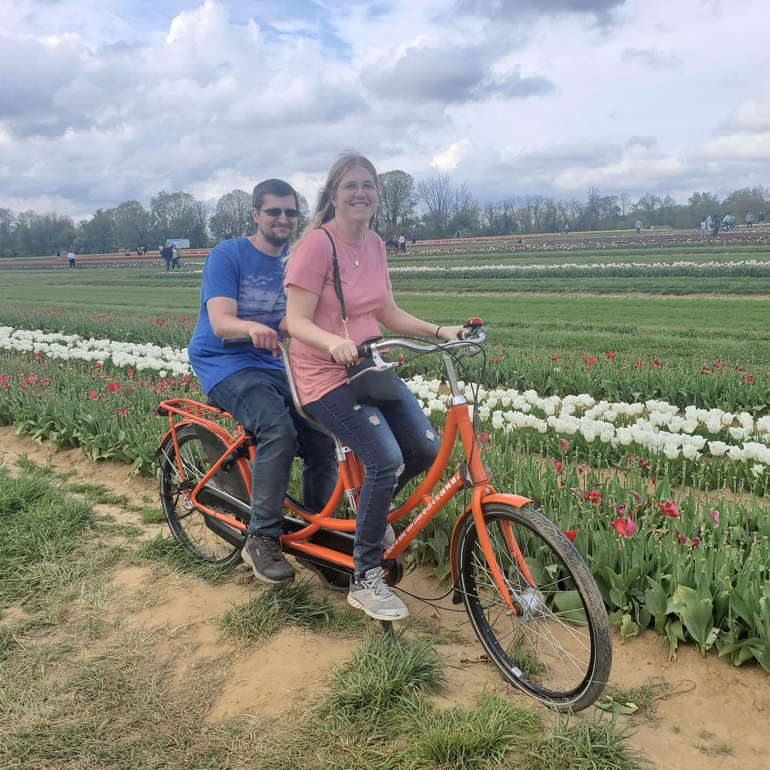 Holland Ridge Farms - Tulip Festival