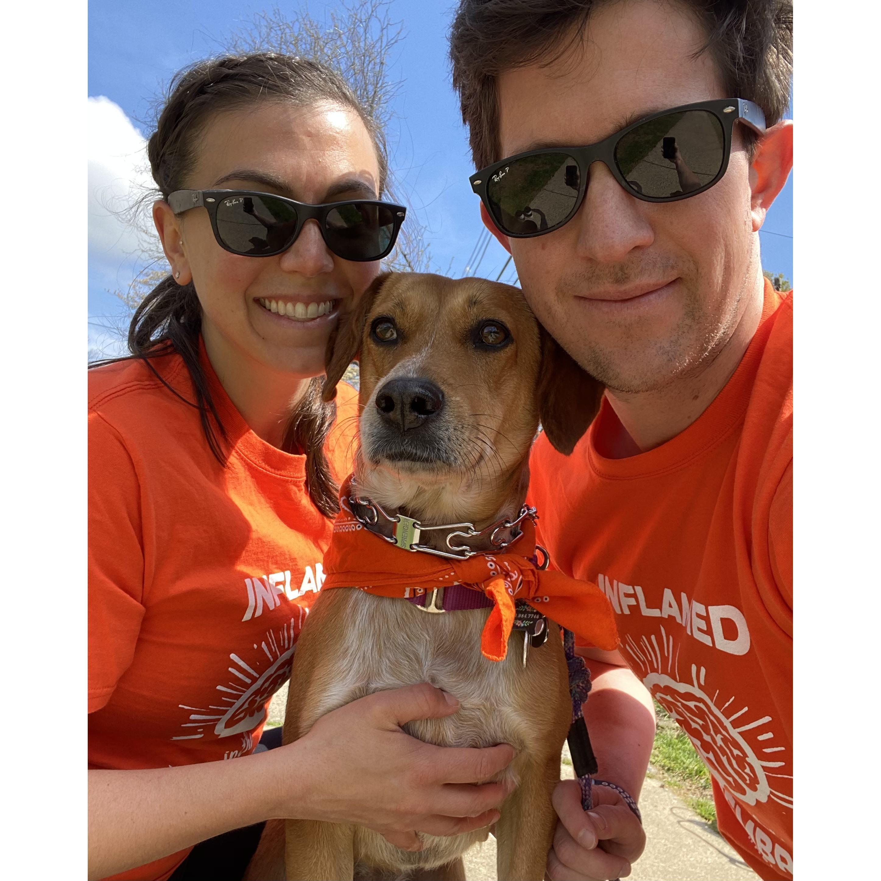 WalkMS 2020