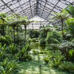 Garfield Park Conservatory