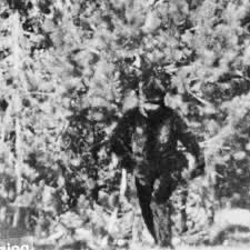 Honeymoon: Bribe For Bigfoot