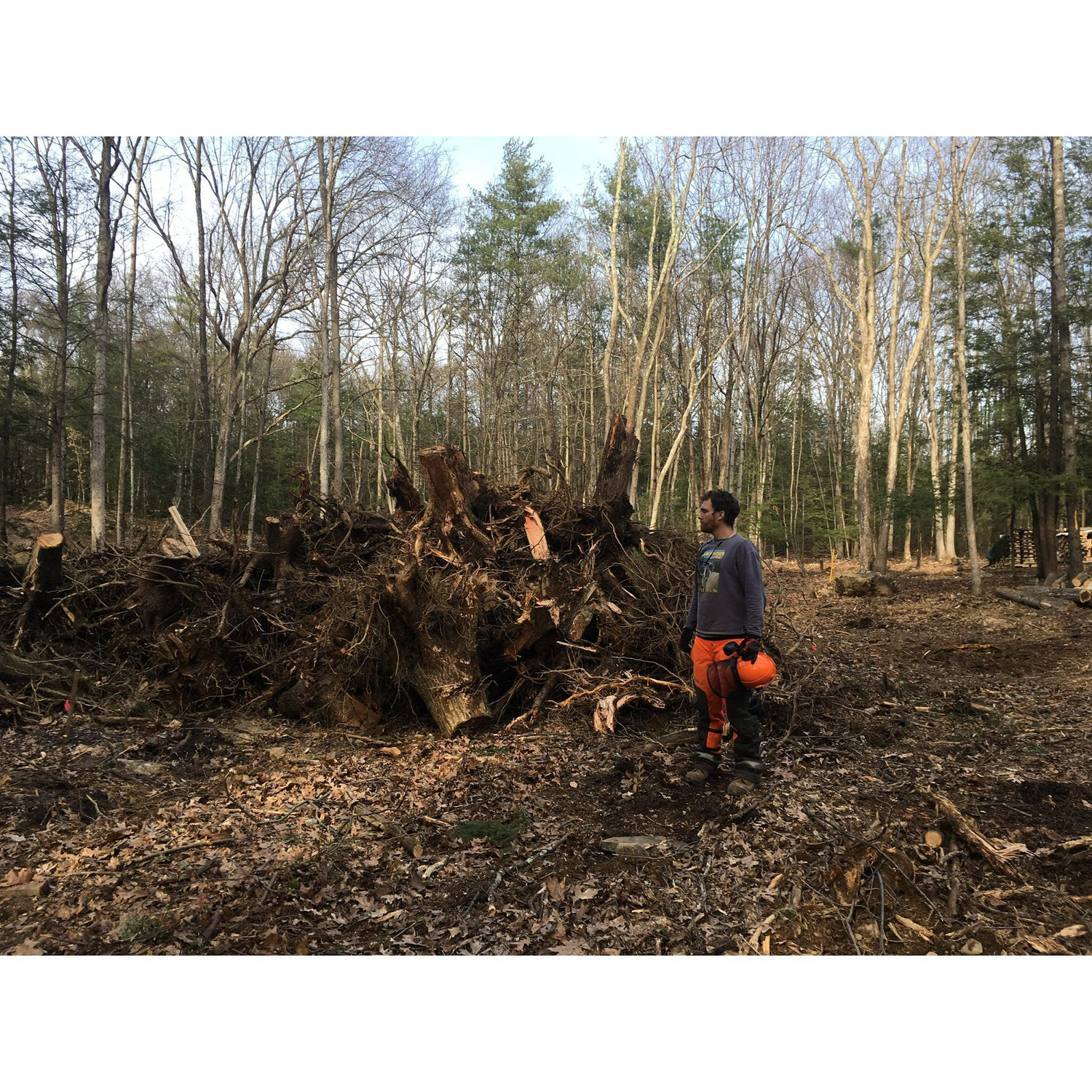 Site cleared