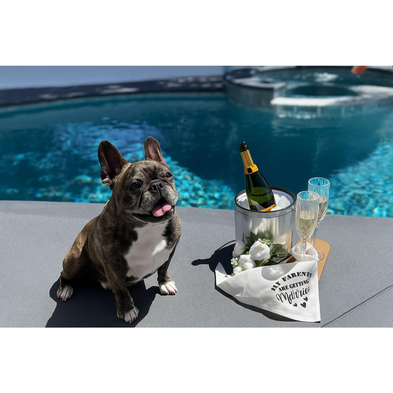 Sweet girl. Shout out to Aunty Ash and Uncle Rog for the killer photoshoot!