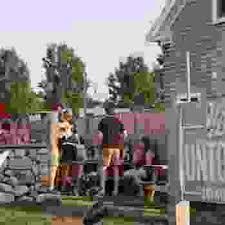 Untold Kids and Dogs