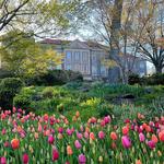 Cheekwood
