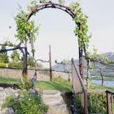 Circle 5 Winery (Martin-Scott)