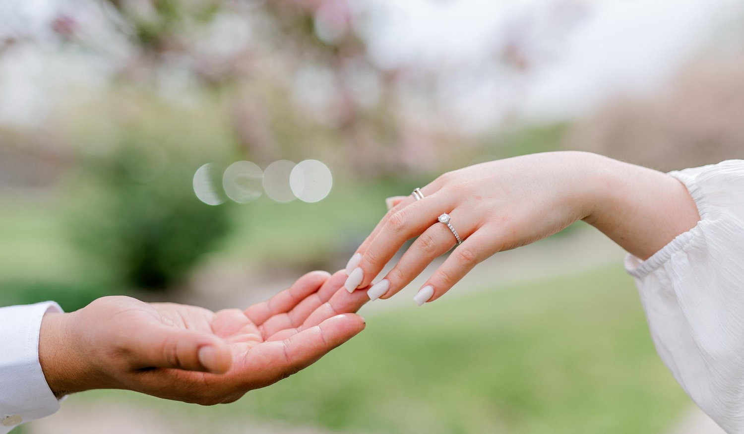Footer image