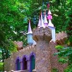 Enchanted Forest