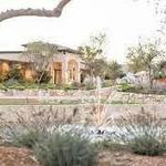 Rava Wines