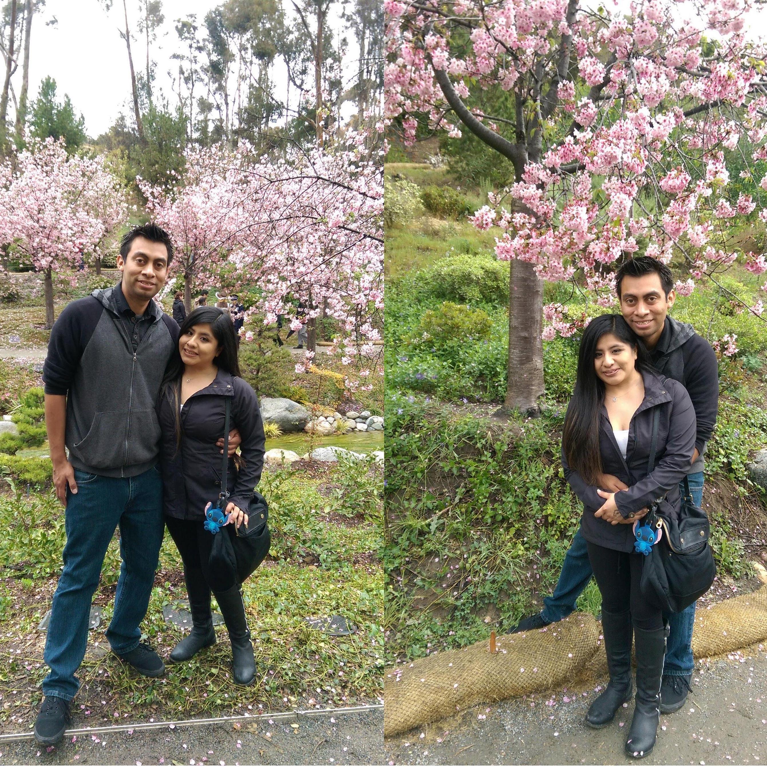 First Cherry Blossum Trip