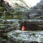 Chestnut Ridge Park