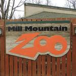 Mill Mountain Zoo