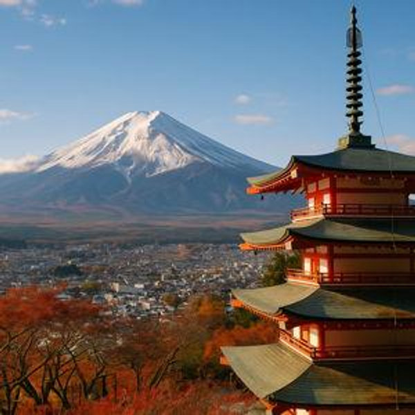 Honeymoon to Japan!