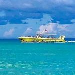 Sea Screamer
