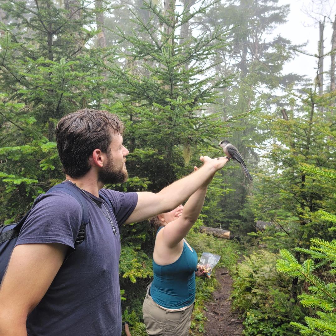 Mount Hale Bethlehem, NH