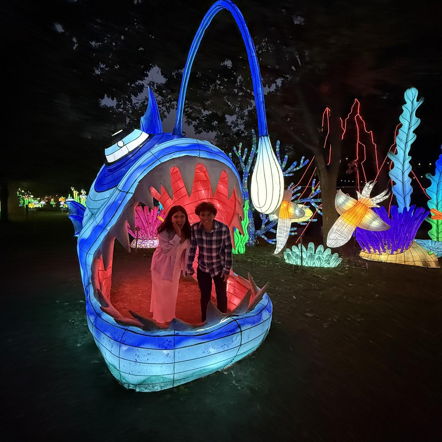 When we visited the Chinese festival light in Philly