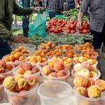 Athol Farmers Market